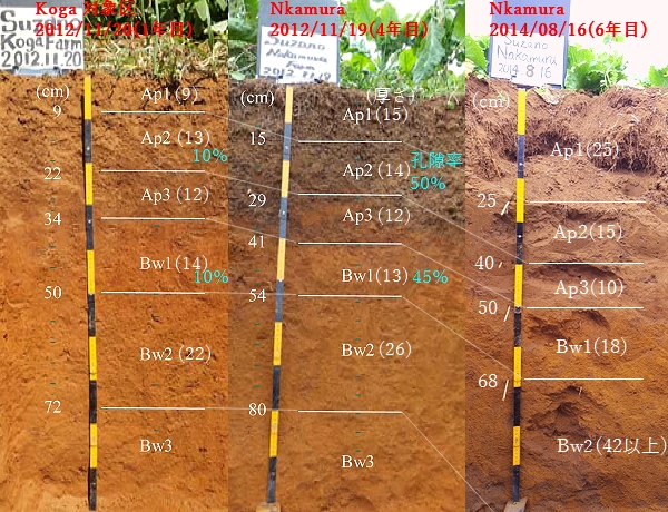 転換時における土壌構造の経年変化